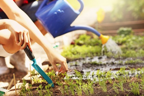 Accessibility statement introduction for Gardeners Kensal Green