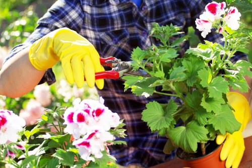 Gardeners Kensal Green improving a neat residential garden