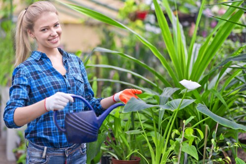 Gardening terms and conditions introduction for a Kensal Green service
