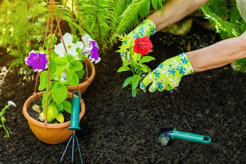 Waste disposal and governing law terms for gardening services