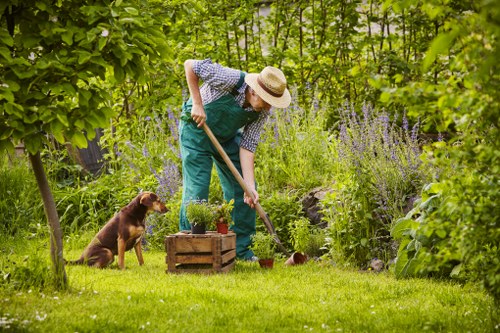 Seasonal garden maintenance in a Kensal Green outdoor space