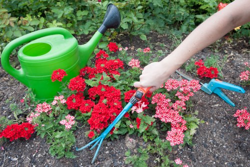 Lawn and border care in a Kensal Green garden
