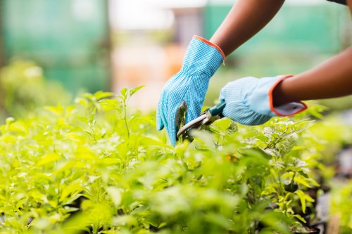 Complaint handling process for gardening services