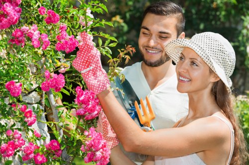 Lawn care and hedge trimming in Kensal Green