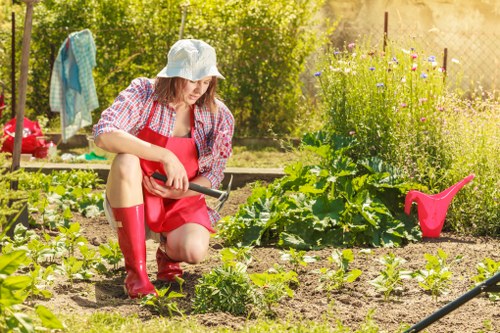 Low-maintenance garden planting in Kensal Green