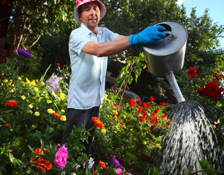 Reviewing a gardening service complaint