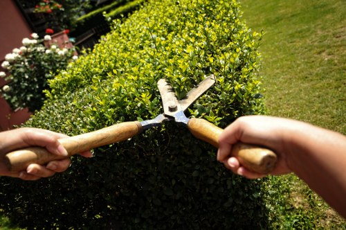 Eco-friendly garden clearance and recycling in Kensal Green