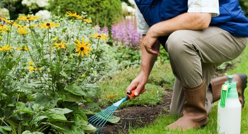 Professional gardener preparing a safe work area