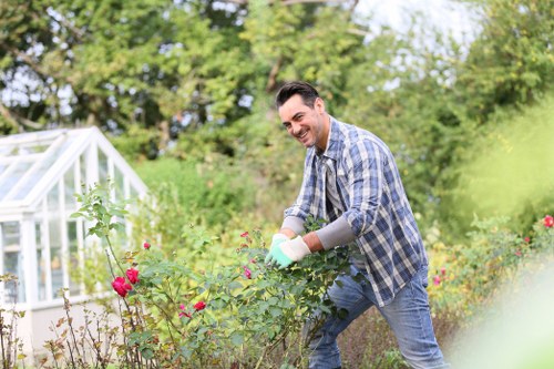 Garden clearance and tidy-up service in Kensal Green