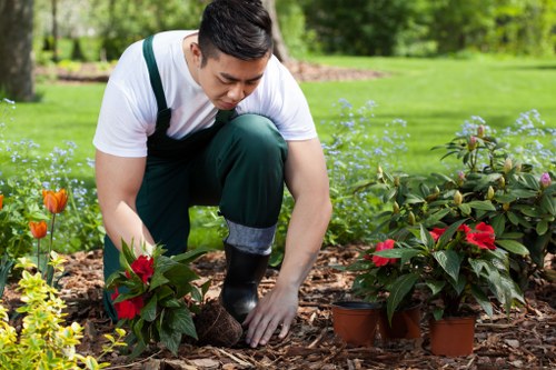 Urban tree maintenance in Kensal Green garden area