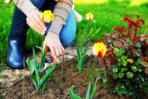 Structured garden planning and planting in Kensal Green