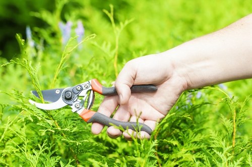 Insured gardening team completing outdoor care safely