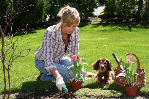 Professional garden maintenance in Kensal Green