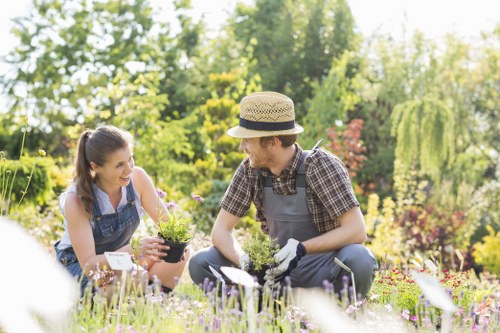 Experienced Kensal Green gardeners supporting a well-kept garden