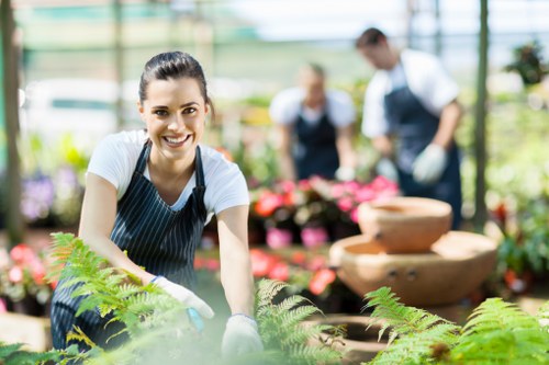 Seasonal lawn maintenance in a Kensal Green backyard