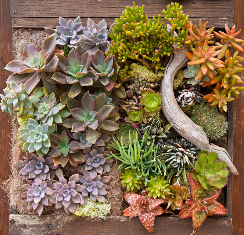 garden maintenance Hedge trimming