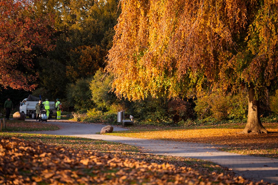 A peaceful park scene during autumn featuring a large deciduous tree with vibrant orange and yellow leaves, some of which have fallen onto the ground, creating a colorful carpet. A paved pathway curve