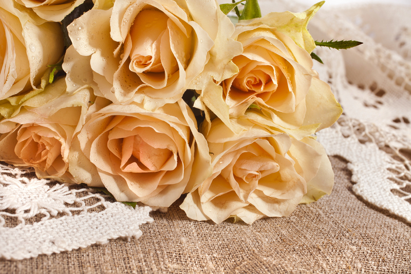 irrigation system garden